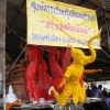 Wax Coated Float